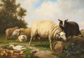 Eugene Verboeckhoven Schafe und Enten sheep